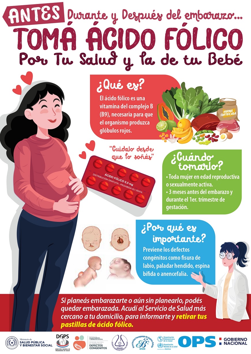 Ingerir ácido fólico antes y durante el embarazo previene defectos  congénitos - Ministerio de Salud Publica y Bienestar Social